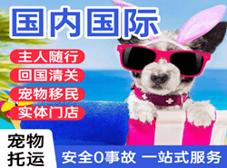 丽江三义空运公司国际宠物托运 【国